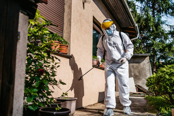 Best Bed Bug Extermination  in Elbow Lake, MN