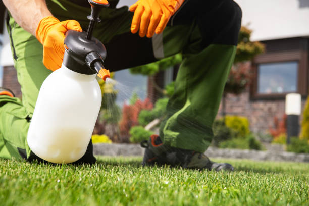 Best Pest Control for Homes  in Elbow Lake, MN