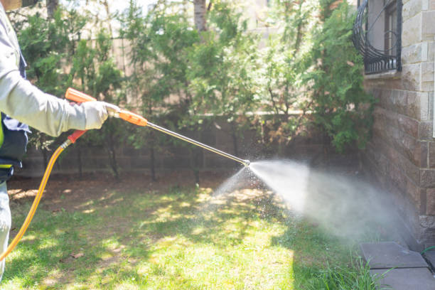 Best Local Pest Control Services  in Elbow Lake, MN