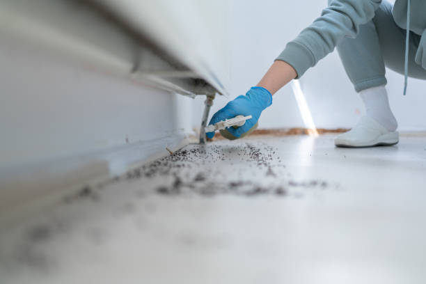 Pest Control for Restaurants in Elbow Lake, MN
